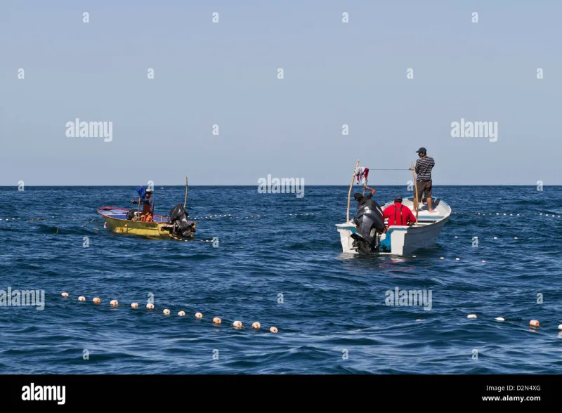 Hook, Line, and Flavor: How Baja's Fishing Villages Are Putting Cabo on the Culinary Map